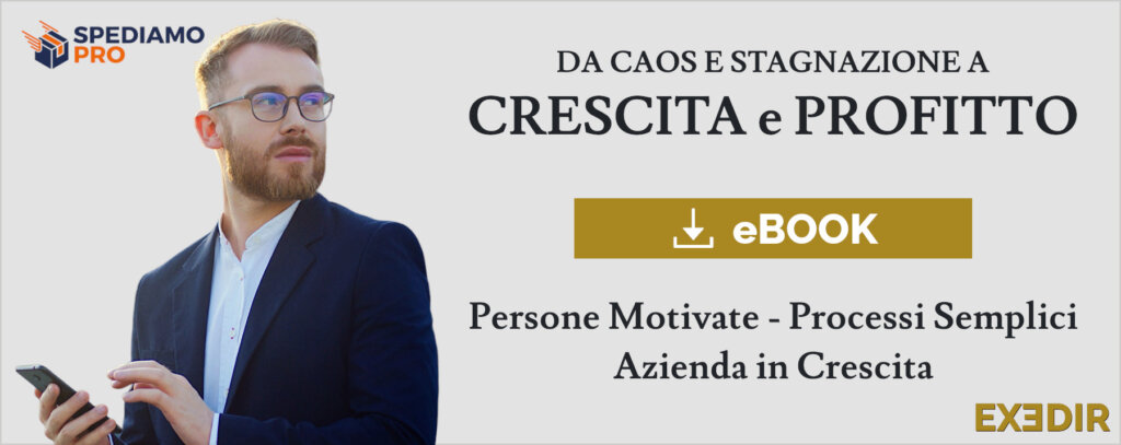 da caos e stagnazione a crescita e profitto ebook